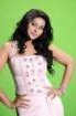Sneha Spicy Photos